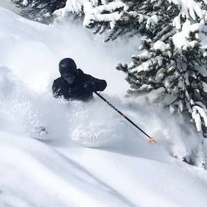 Meet your Posher, Jake